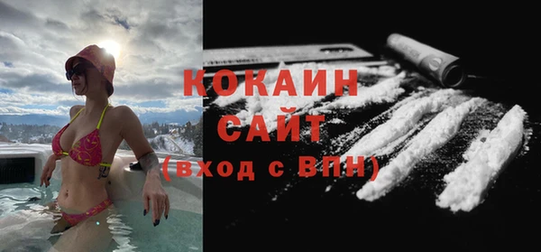 крисы Аркадак