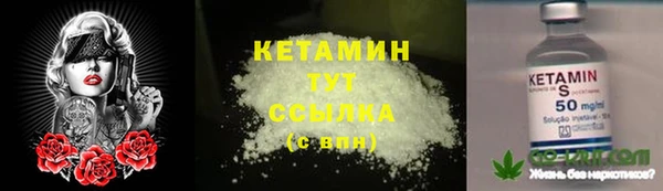 крисы Аркадак