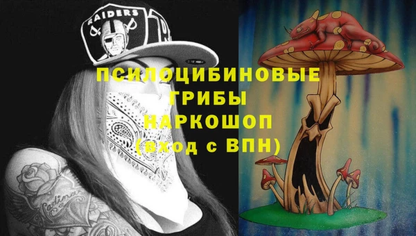крисы Аркадак