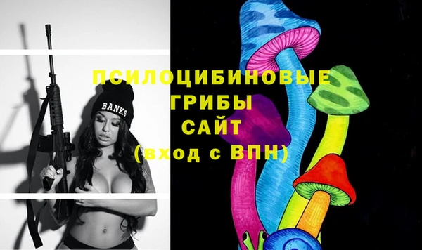 Альфа ПВП Арсеньев